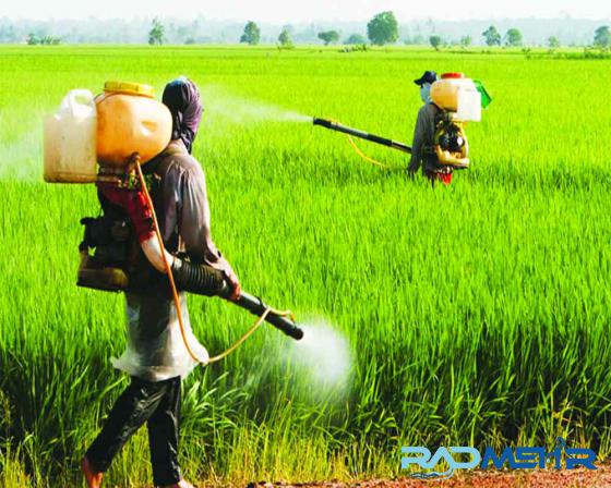 Farm Backpack Sprayers for Lawns