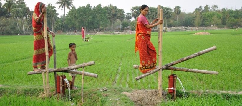  Foot pump Purchase Price + Sales In Trade And Export 