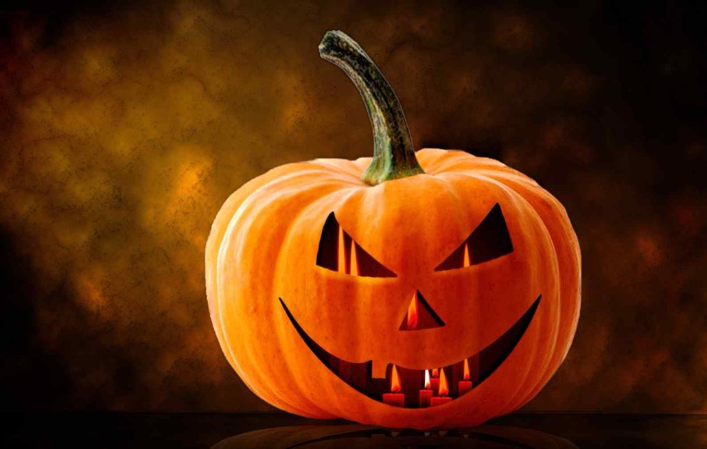 zentangle pumpkin + purchase price, use, uses and properties