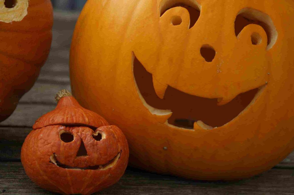 zentangle pumpkin + purchase price, use, uses and properties