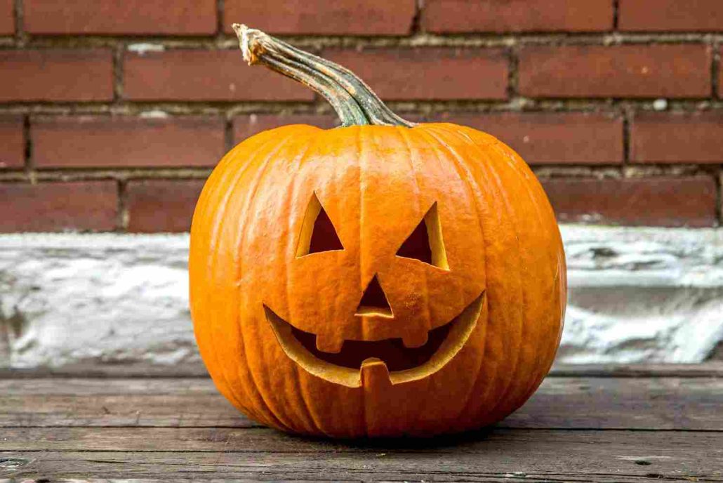 zentangle pumpkin + purchase price, use, uses and properties