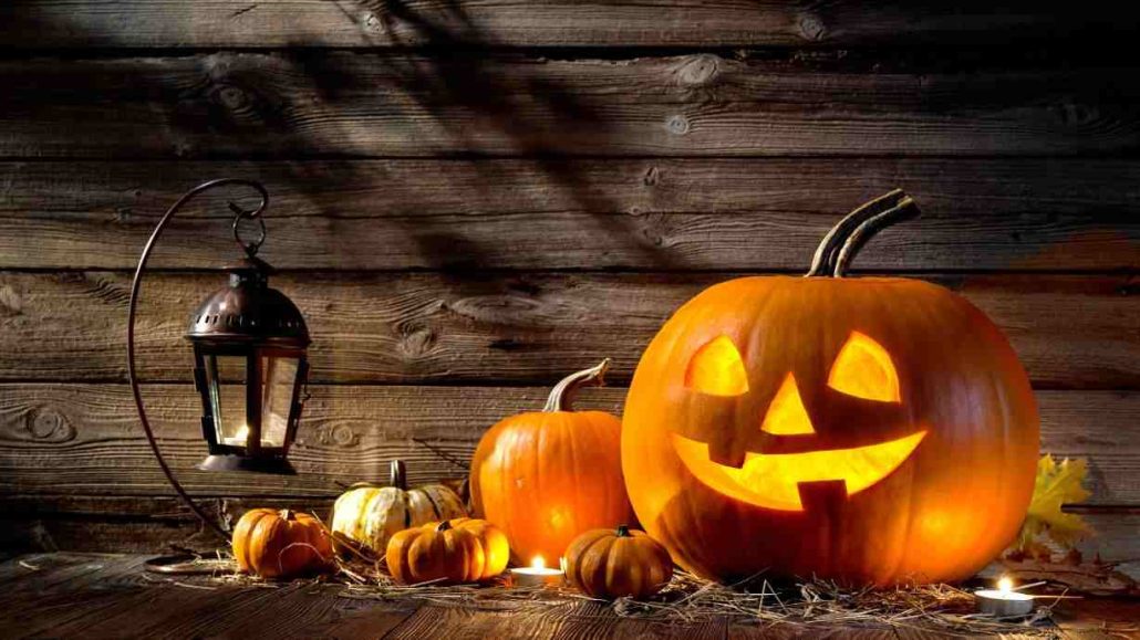 zentangle pumpkin + purchase price, use, uses and properties
