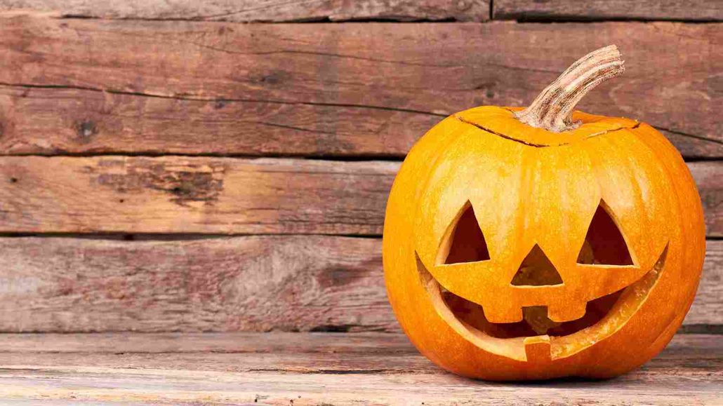 zentangle pumpkin + purchase price, use, uses and properties