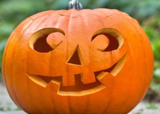 zentangle pumpkin + purchase price, use, uses and properties