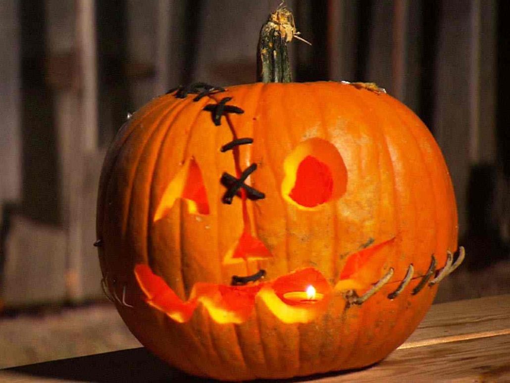 zentangle pumpkin + purchase price, use, uses and properties