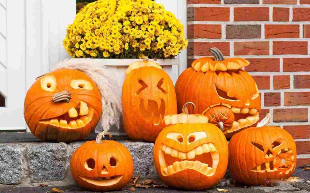 zentangle pumpkin + purchase price, use, uses and properties