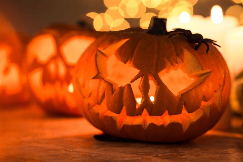 zentangle pumpkin + purchase price, use, uses and properties
