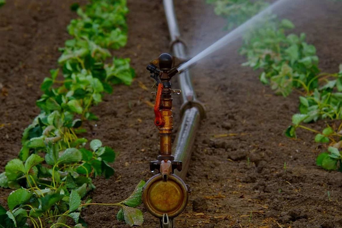 Best Centrifugal Water Pump for Irrigation and Agriculture