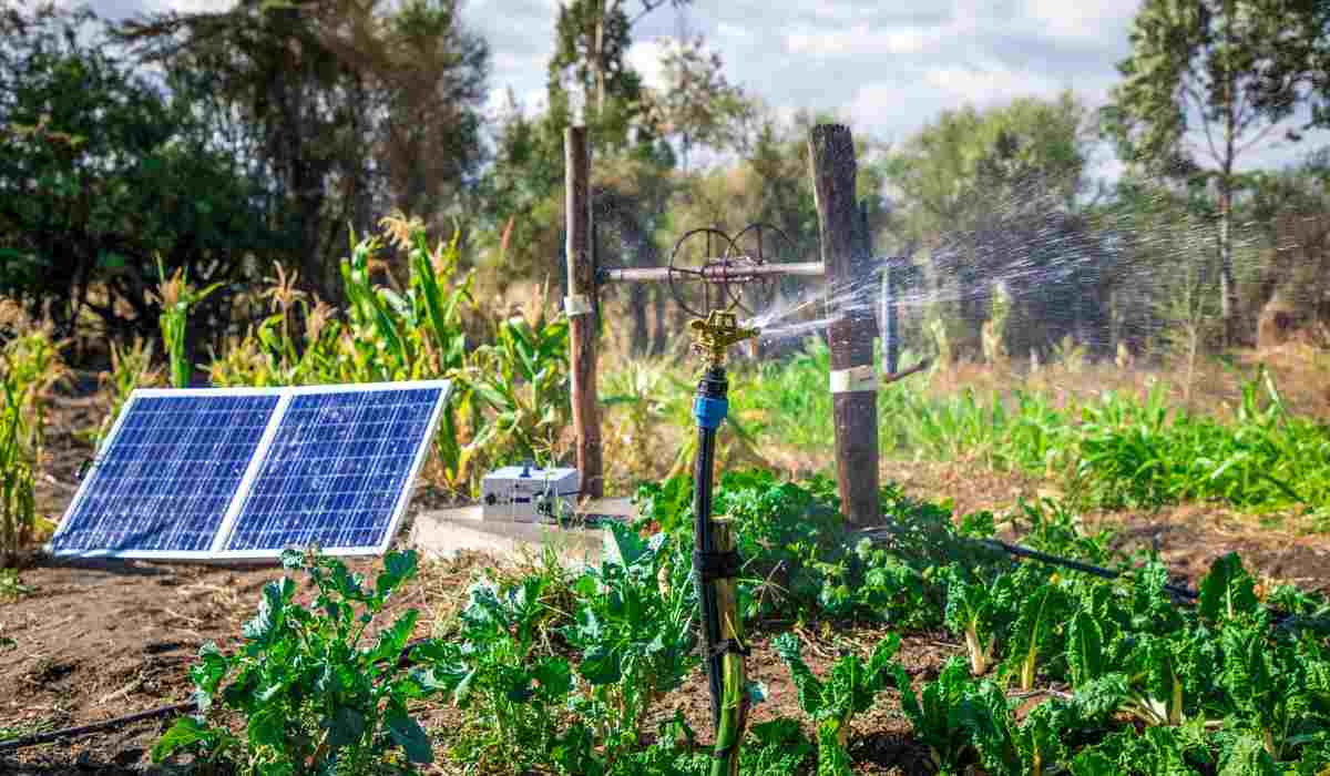  Buy and price of the best types of agricultural solar irrigation pump 