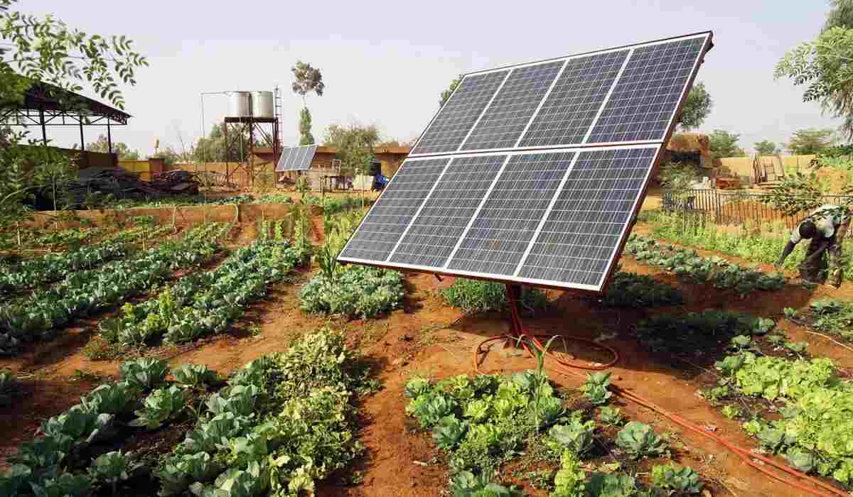  Buy and price of the best types of agricultural solar irrigation pump 