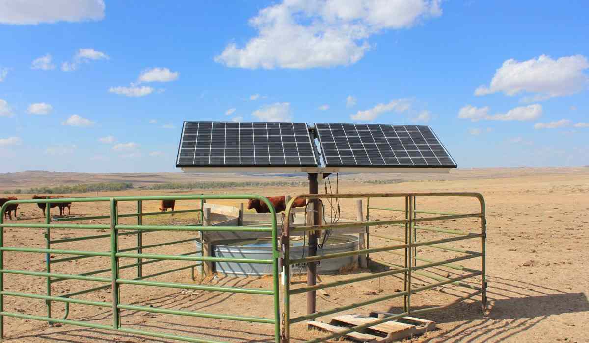  Buy and price of the best types of agricultural solar irrigation pump 