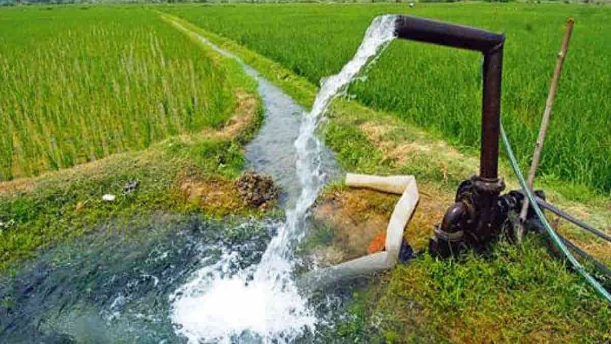  Buy and the Price of All Kinds of Best Submersible Pumps 
