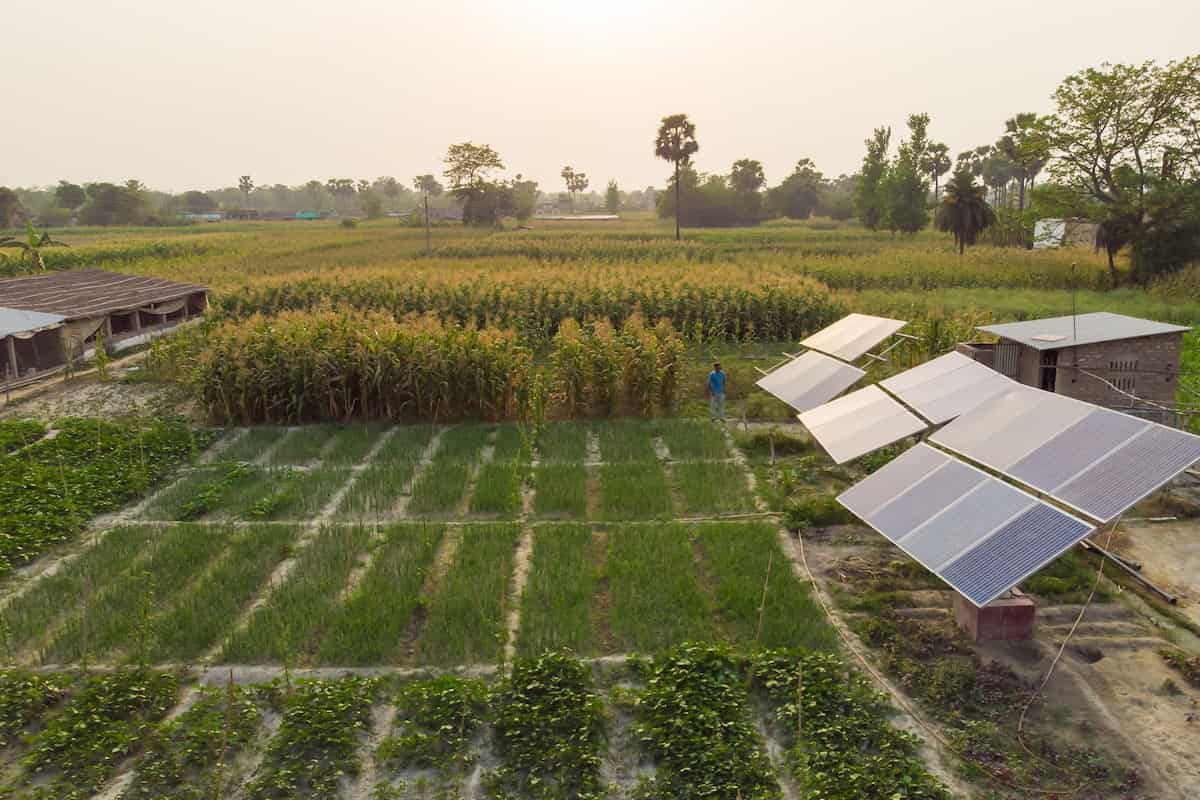  Solar Irrigation Pump in Nigeria; Easy Setup Public Spaces Hotels Usage 