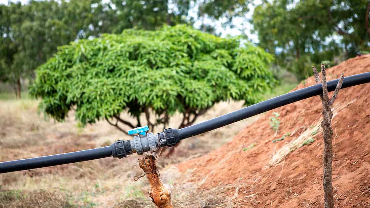  The Price of irrigation pump valve + Purchase and Sale of irrigation pump valve Wholesale 