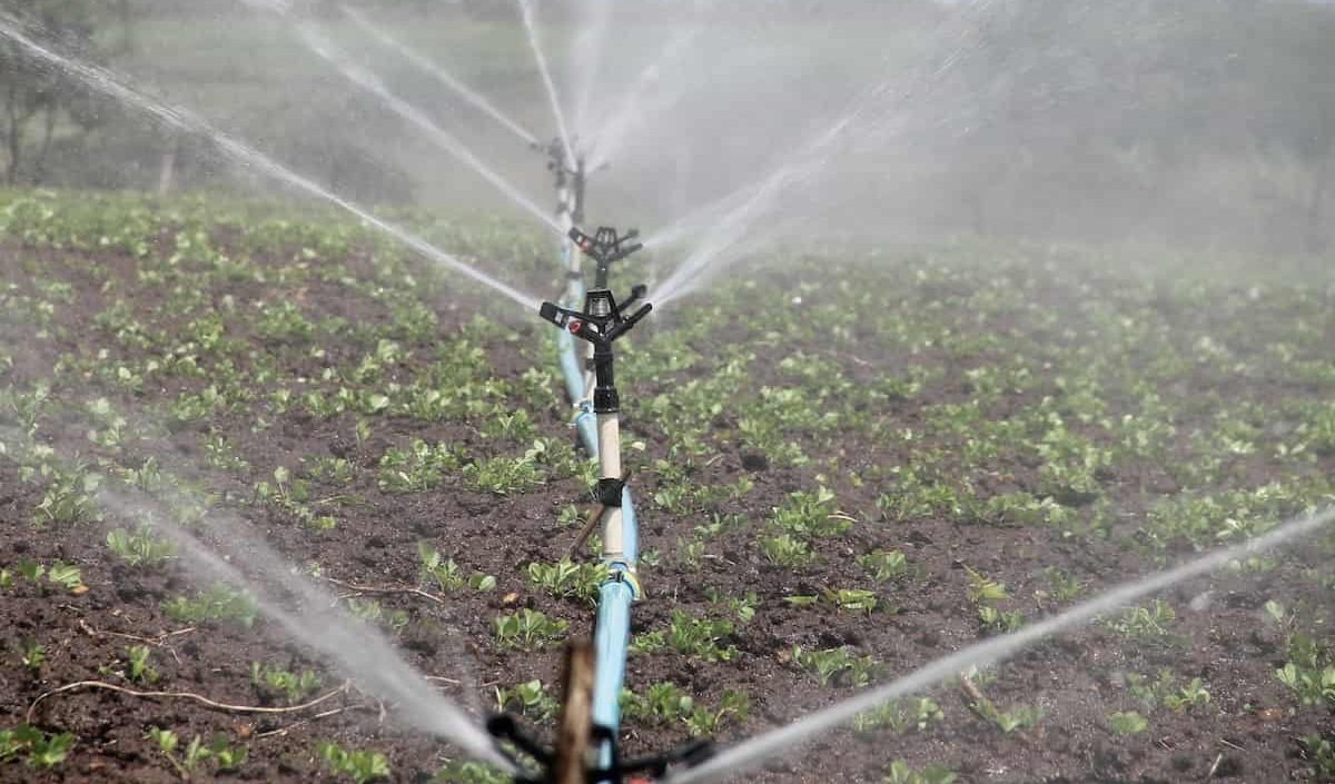  The Price of irrigation pump valve + Purchase and Sale of irrigation pump valve Wholesale 