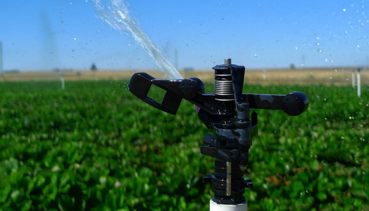 Automated foot irrigation pump + Best Buy Price