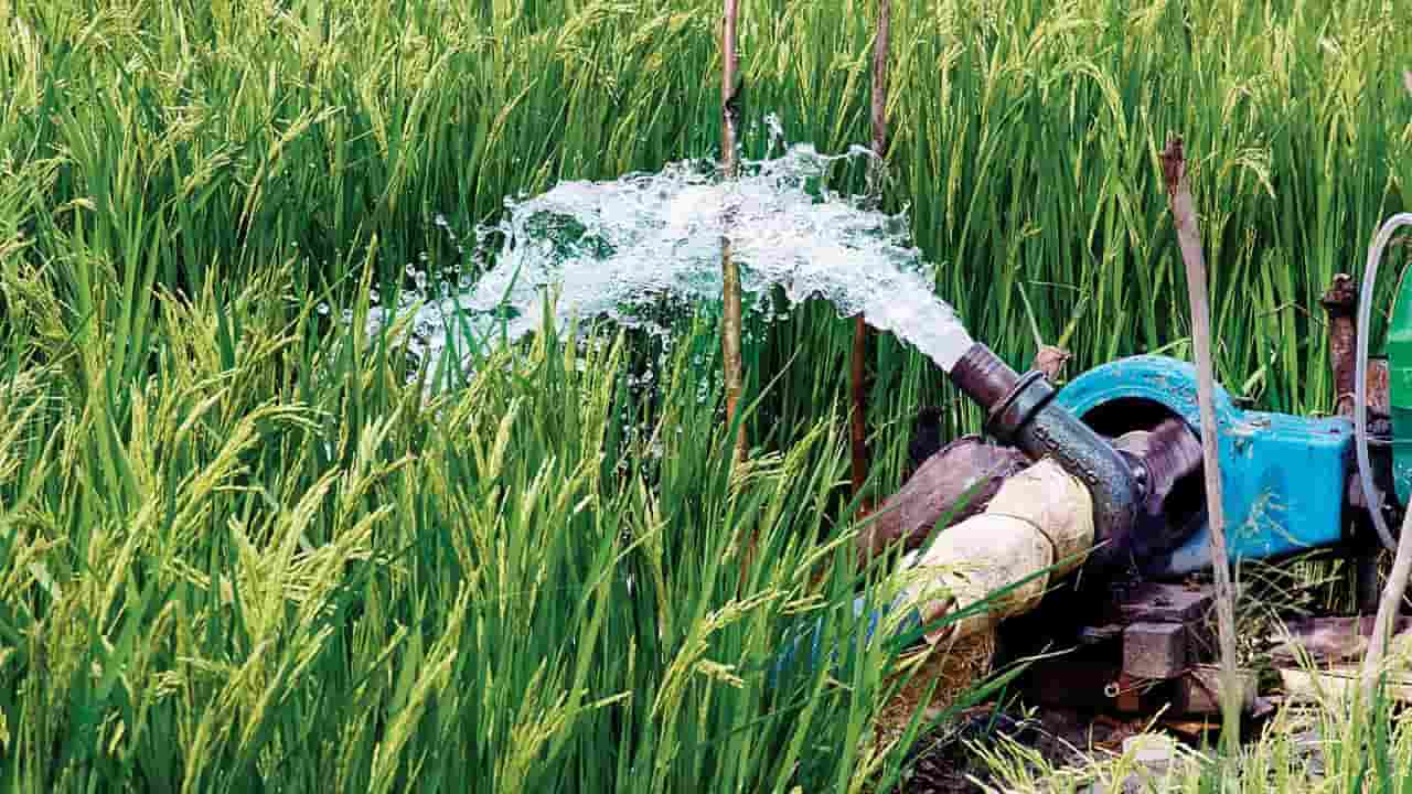 Automated foot irrigation pump + Best Buy Price