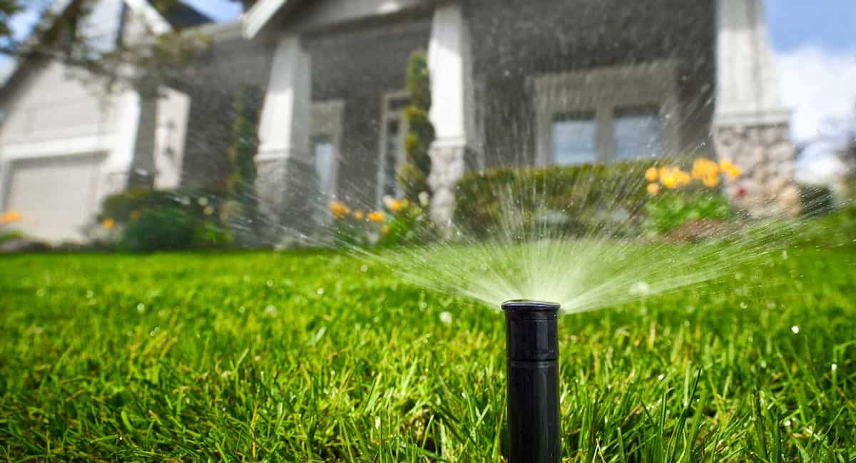 Automated foot irrigation pump + Best Buy Price