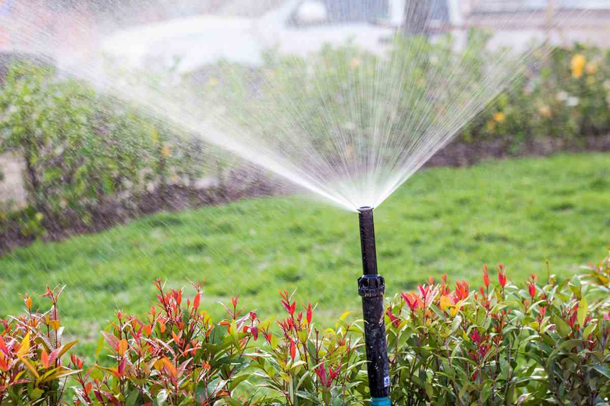  Getting To Know backup pump + The Exceptional Price of Buying backup pump 