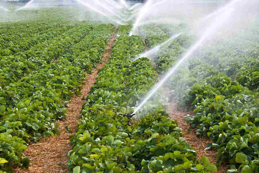 Getting To Know backup pump + The Exceptional Price of Buying backup pump 