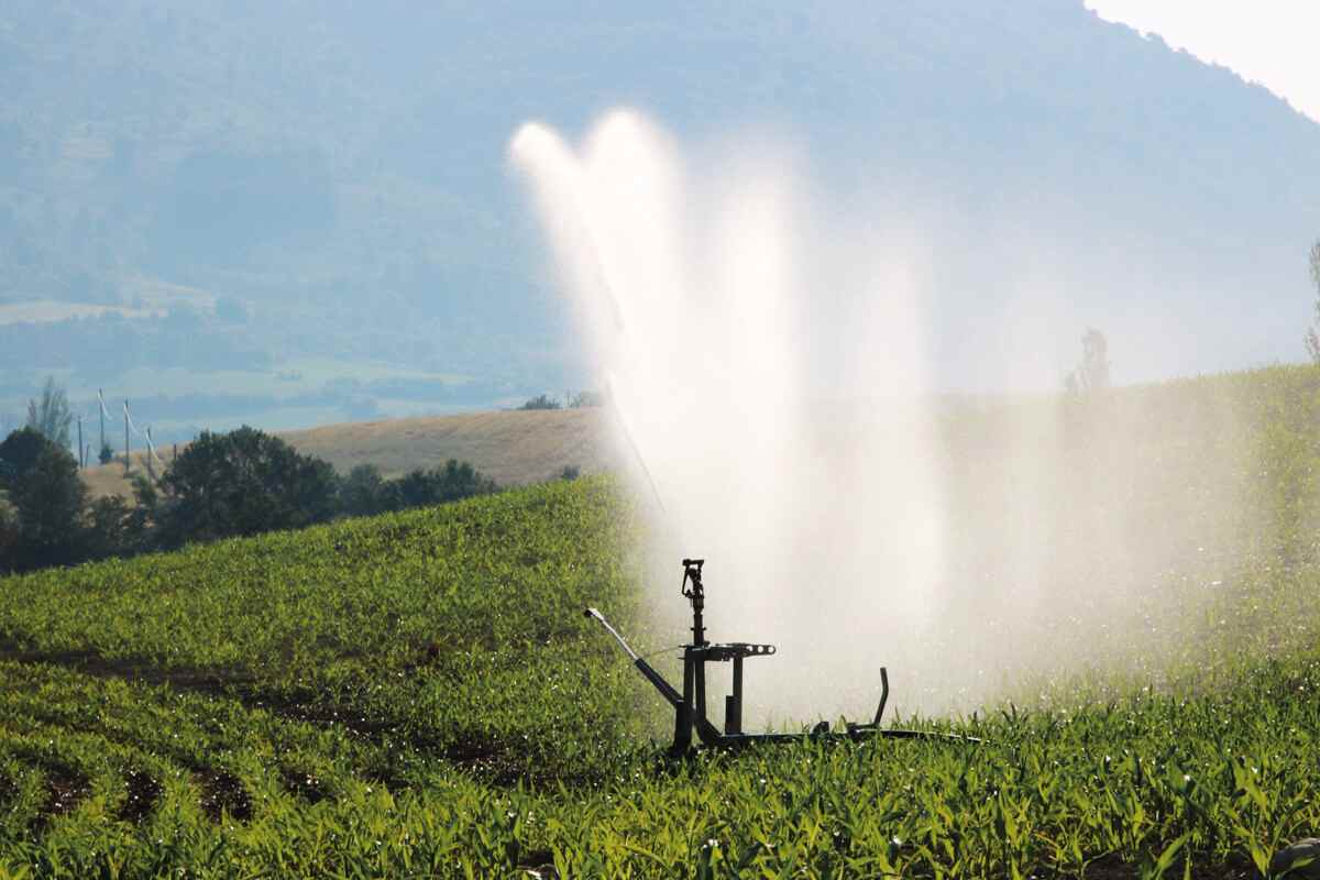  Getting To Know backup pump + The Exceptional Price of Buying backup pump 