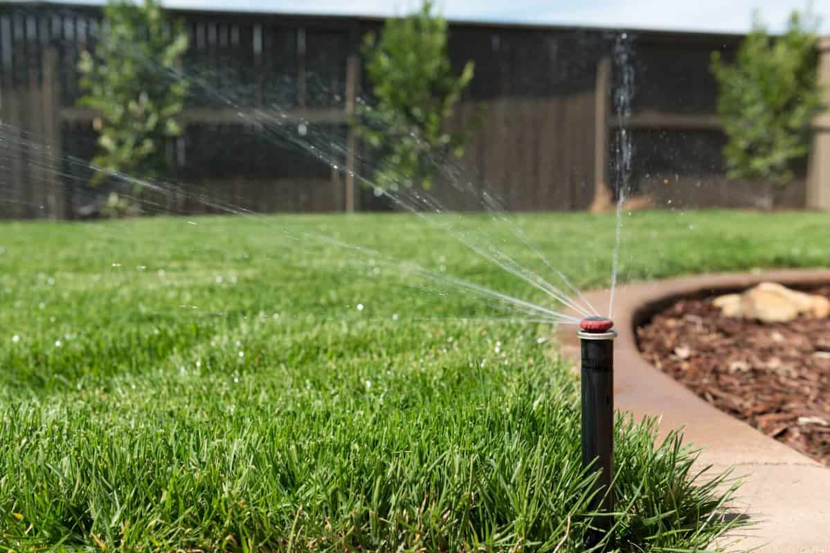 foot irrigation pump 1/2 hp | Reasonable Price, Great Purchase