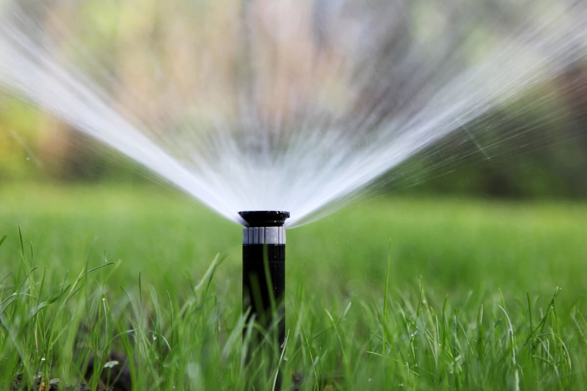 foot irrigation pump 1/2 hp | Reasonable Price, Great Purchase