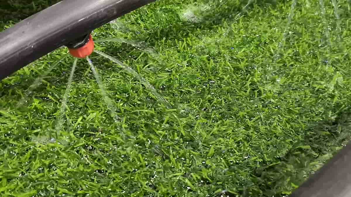 foot irrigation pump 1/2 hp | Reasonable Price, Great Purchase