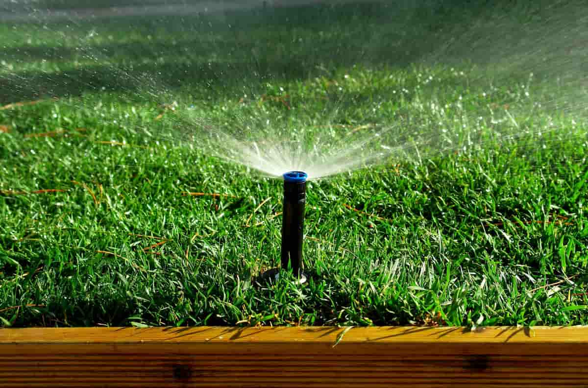 foot irrigation pump 1/2 hp | Reasonable Price, Great Purchase