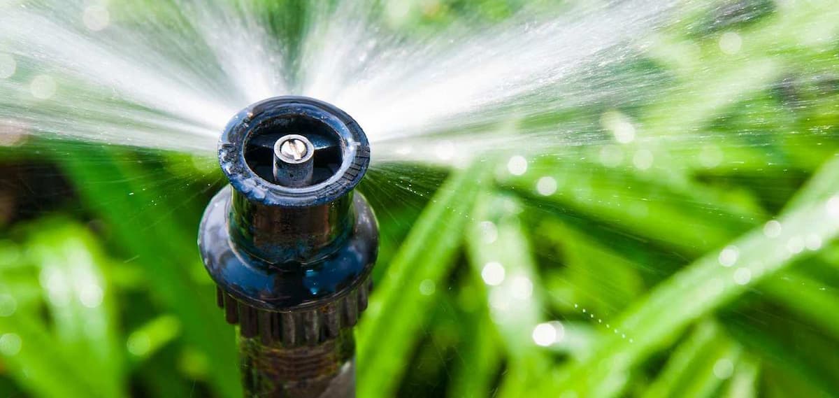 foot irrigation pump 1/2 hp | Reasonable Price, Great Purchase