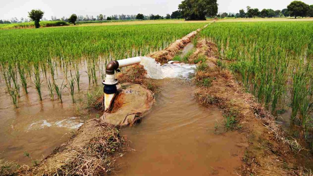  what is the best water pump for irrigation + which pump is best for irrigation 