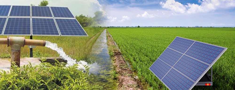  what is the best water pump for irrigation + which pump is best for irrigation 