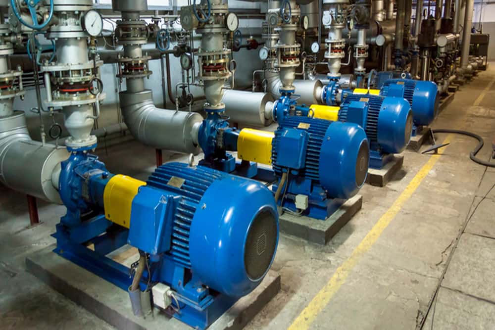 slugde quality pumps Purchase Price + Photo