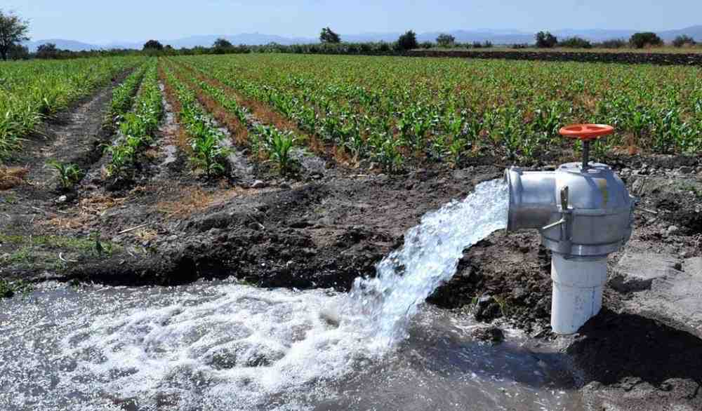  Introducing hand irrigation pump + the best purchase price 