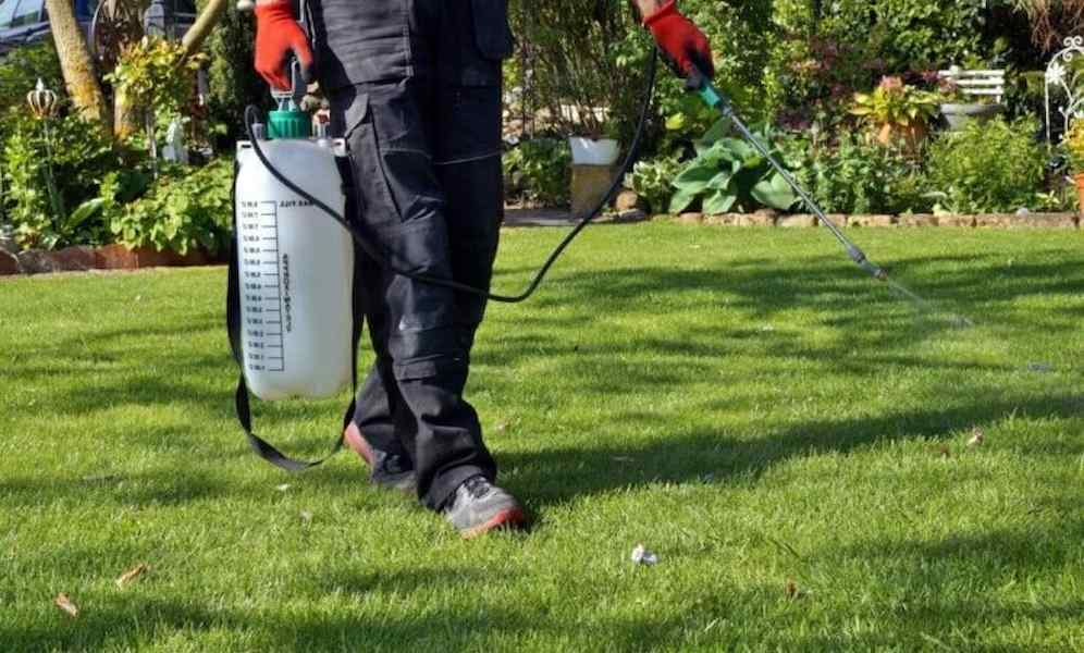  Buy the best types of agricultural sprayer pump at a cheap price 