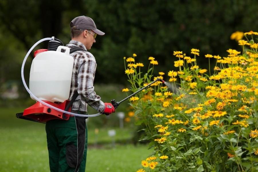  Buy the best types of agricultural sprayer pump at a cheap price 