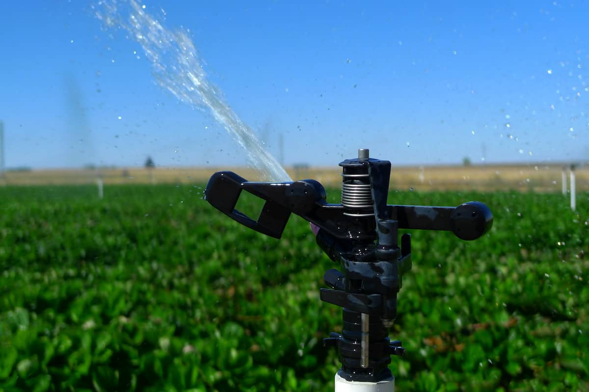  jet irrigation pump diesel electrical wiring gas 