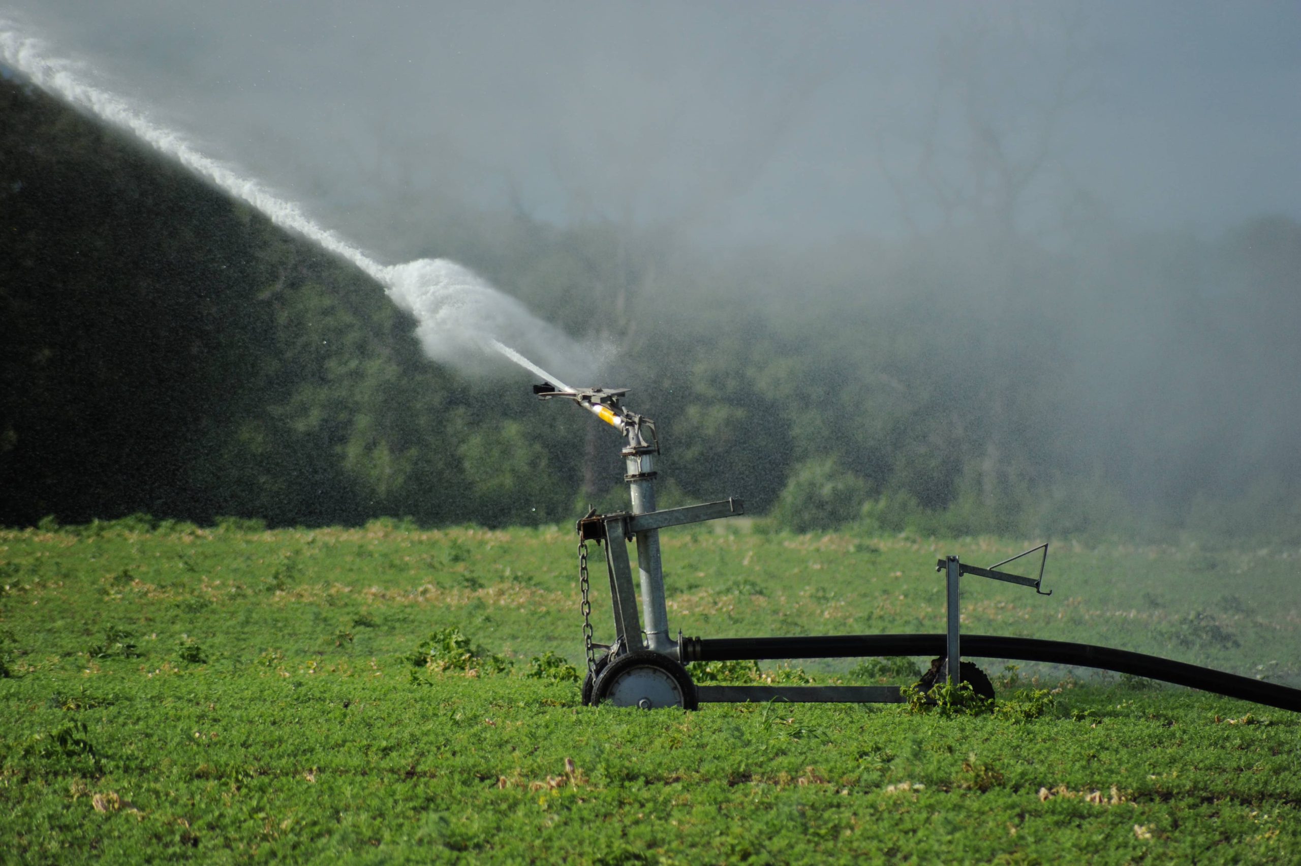  jet irrigation pump diesel electrical wiring gas 