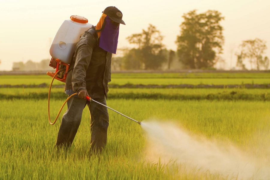  Introducing electric sprayer pump + the best purchase price 