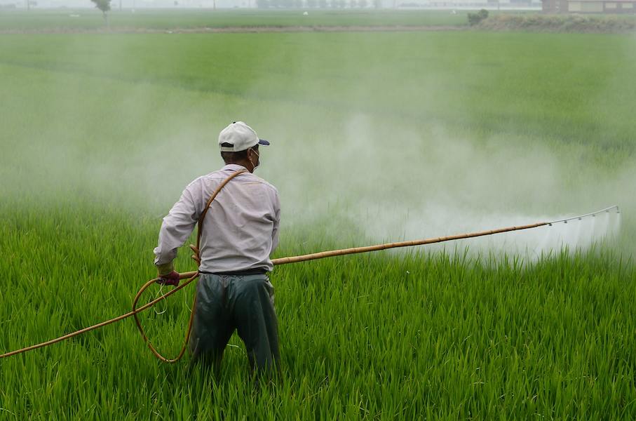  Introducing electric sprayer pump + the best purchase price 