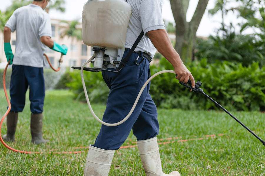 Introducing electric sprayer pump + the best purchase price 