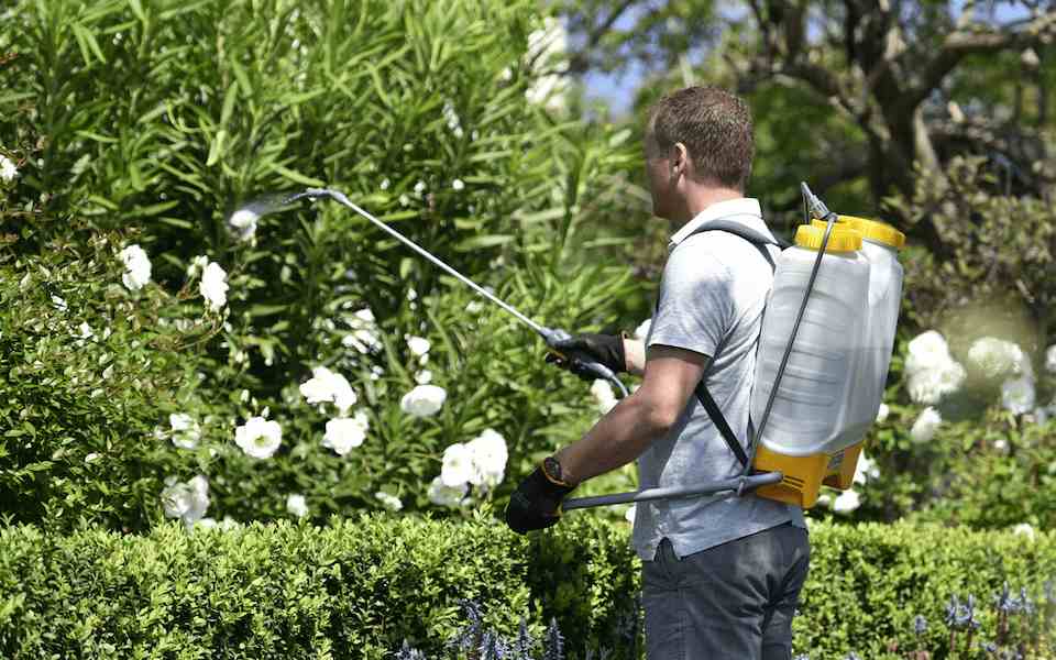  Introducing electric sprayer pump + the best purchase price 