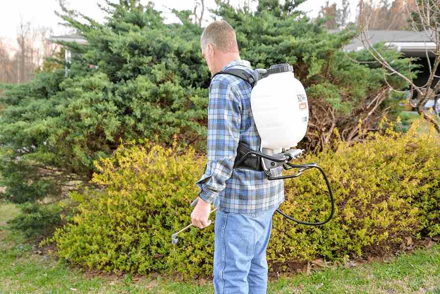  Introducing electric sprayer pump + the best purchase price 