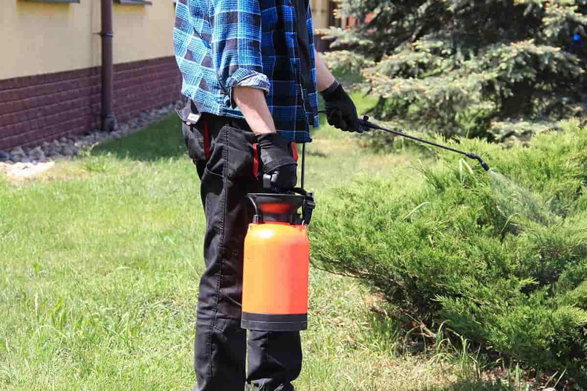  Powered Sprayer pump Battery Backpack | Reasonable Price, Great Purchase 