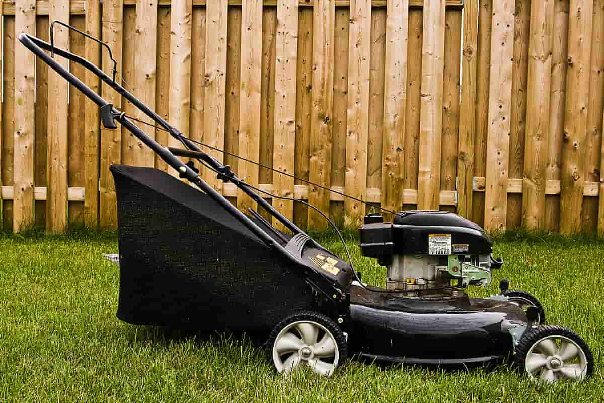  Powered Sprayer pump Battery Backpack | Reasonable Price, Great Purchase 
