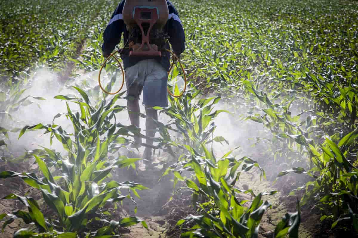  Powered Sprayer pump Battery Backpack | Reasonable Price, Great Purchase 