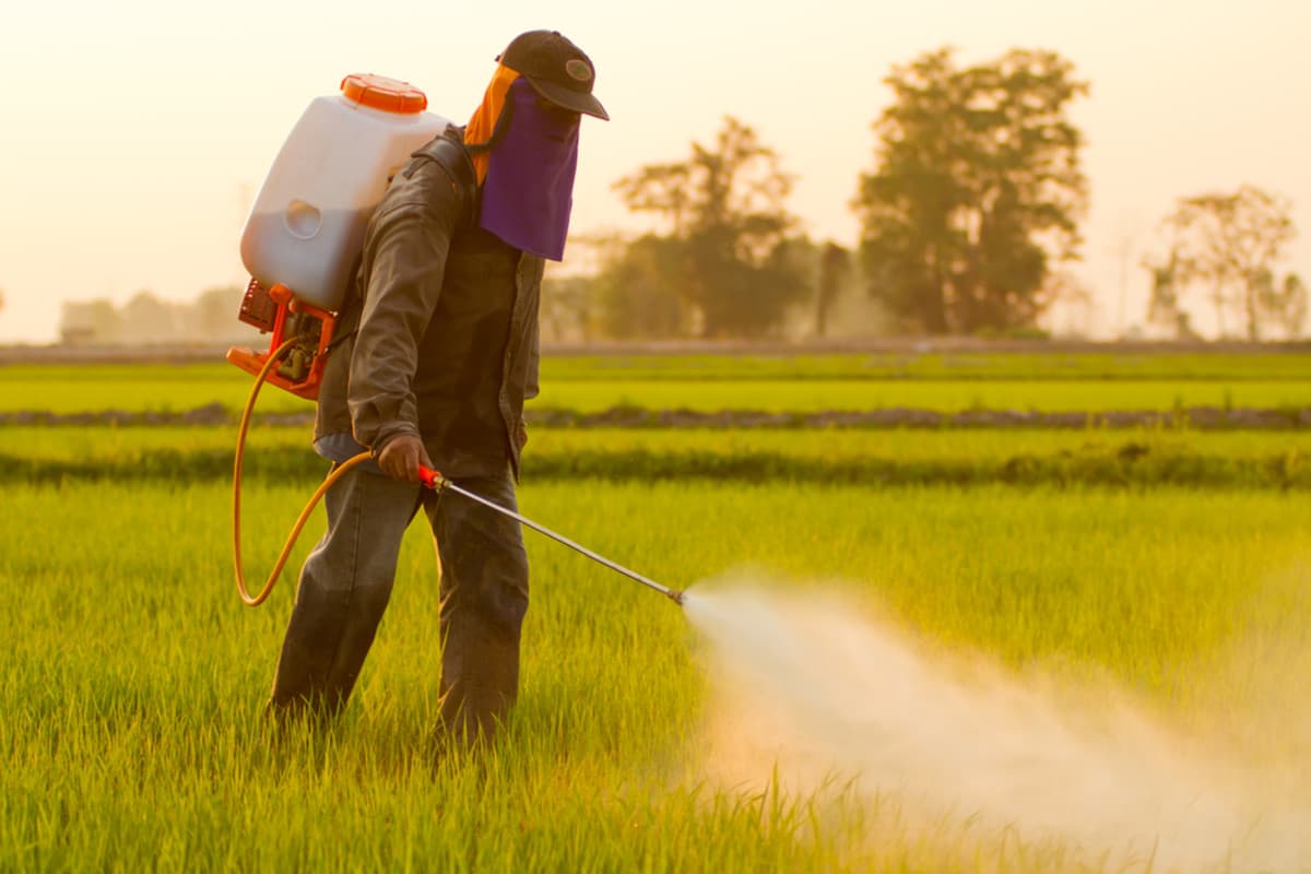 Powered Sprayer pump Battery Backpack | Reasonable Price, Great Purchase 