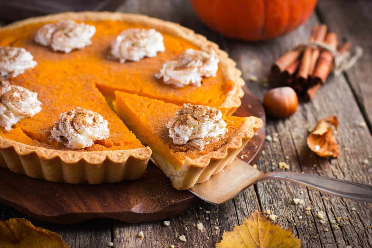  Introducing pumpkin dump bundt + the best purchase price 