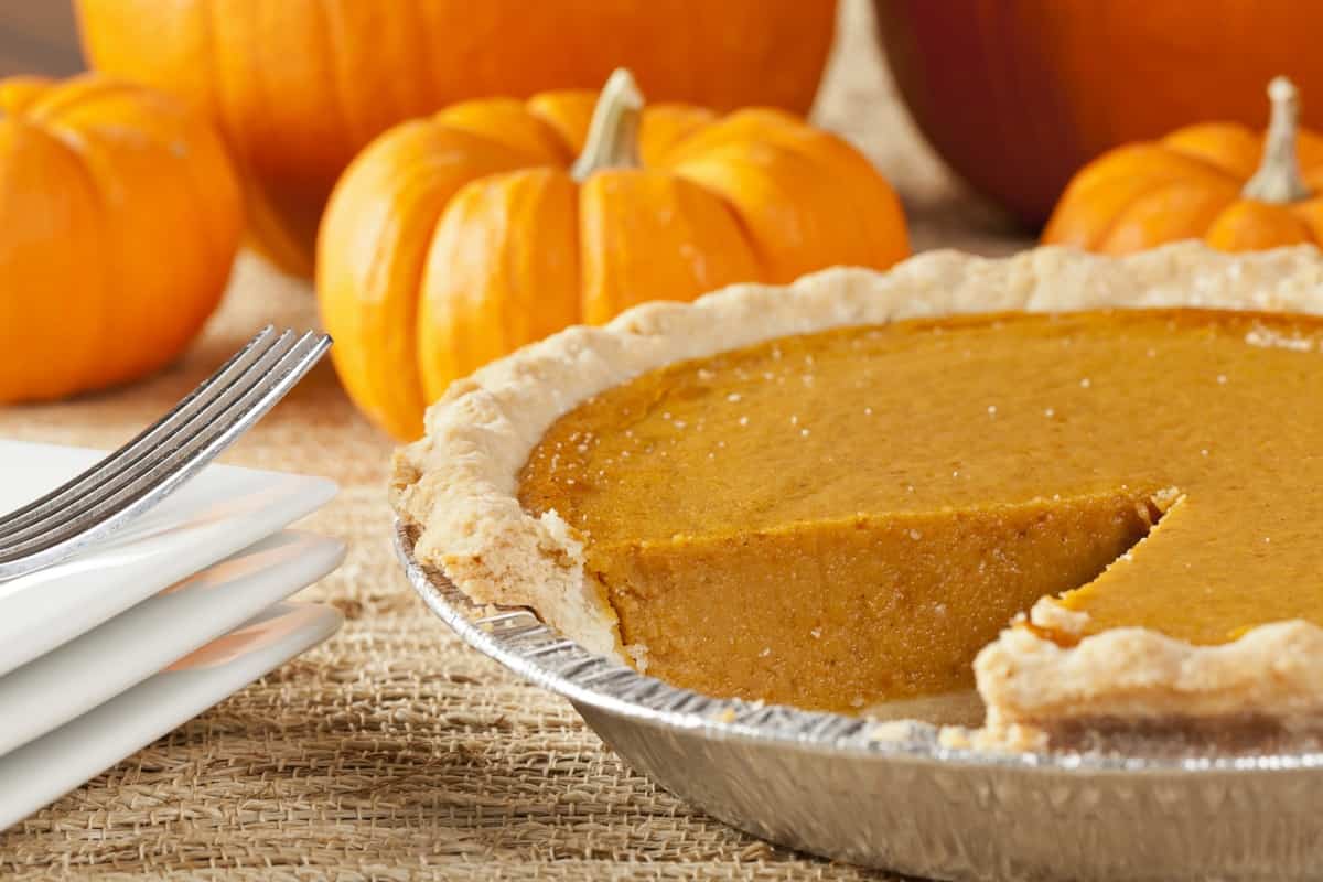  Introducing pumpkin dump bundt + the best purchase price 