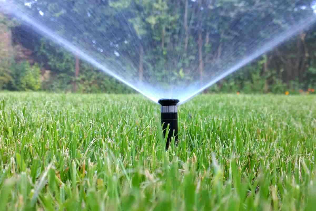  The Price of Foot Irrigation Pump And Power Equipment Muleshoe Tx 
